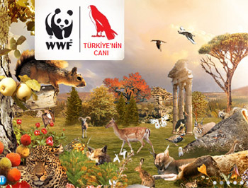Türkiye'nin Canı - WWF Türkiye'nin Canı - WWF